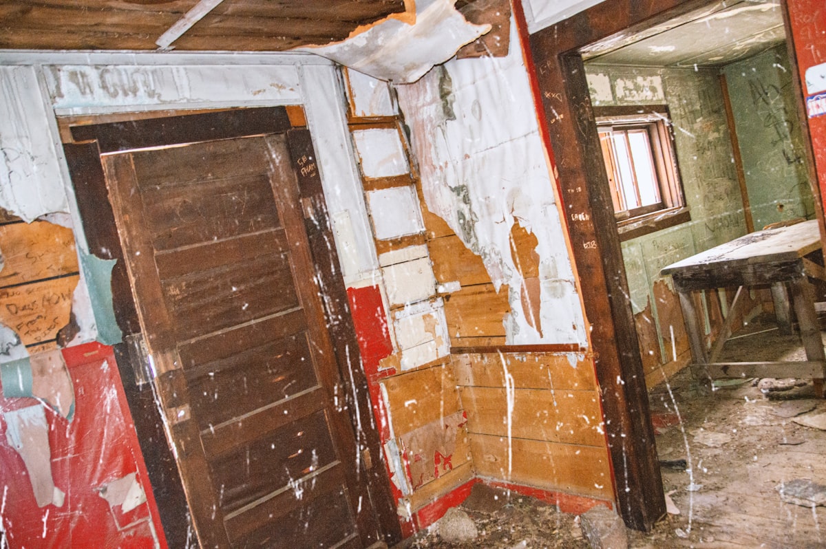 Mold Remediation service in Lafayette, CO