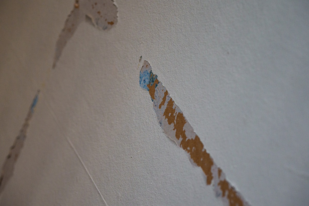 Water Extraction service in Lafayette, CO